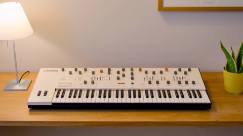 Frap Tools Magnolia, polysynthé analogique 8 voix à FM à zéro passage, vue de face avec clavier Fatar
