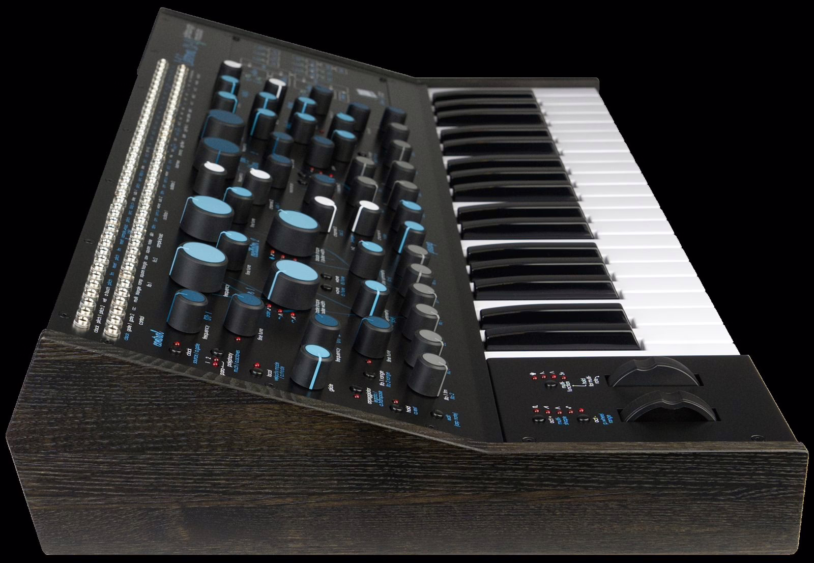 Vue de profil du Pittsburgh Modular Lifeforms SV-2 montrant la baie eurorack 24 HP