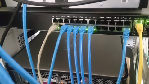 Un commutateur réseau et ses câbles Ethernet, support physique d’un réseau audio Dante