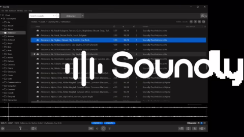 Samplitude 2026 : interface principale avec l'integration Soundly ouverte dans le navigateur de sons