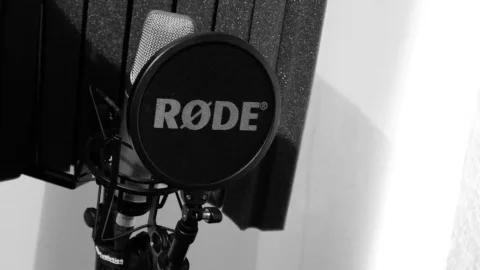 Micro statique de studio à large membrane avec filtre anti-pop, prêt pour la prise de voix
