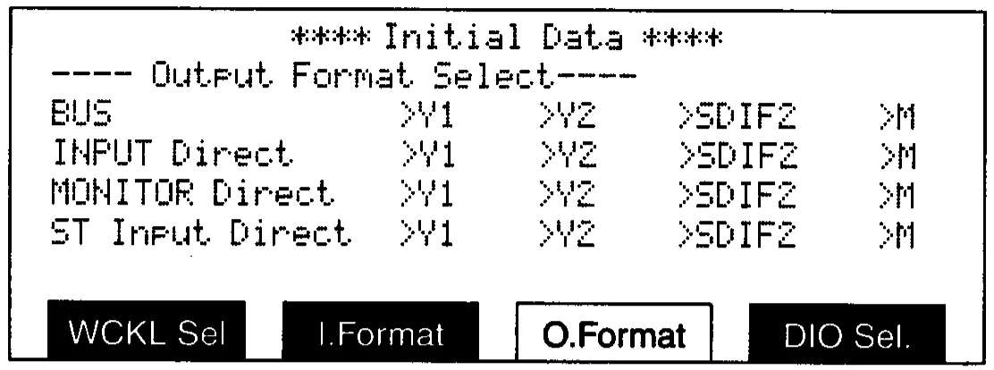DMC1000 LCD, output format select (manual drawing)