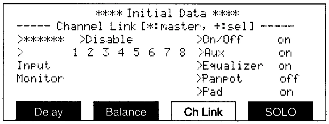 DMC1000 LCD, channel link (manual drawing)