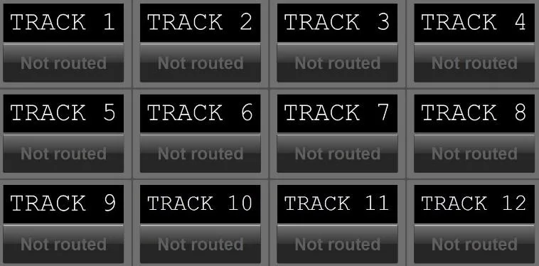 Oasis GUI Record Enables menu: arming of the 12 tracks